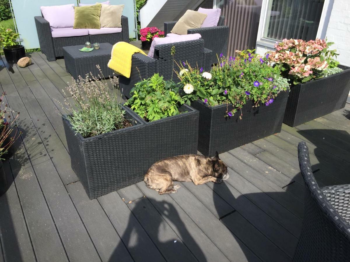 Brondums B & B Hjørring Exteriör bild